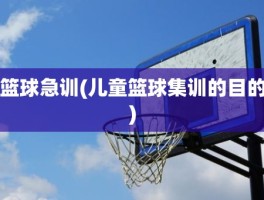 篮球急训(儿童篮球集训的目的)