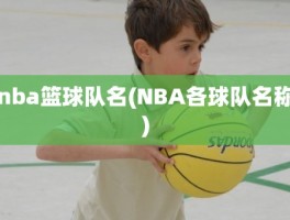 nba篮球队名(NBA各球队名称)