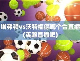 埃弗顿vs沃特福德哪个台直播(英超直播吧)