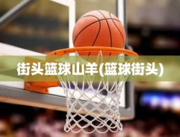 街头篮球山羊(篮球街头)
