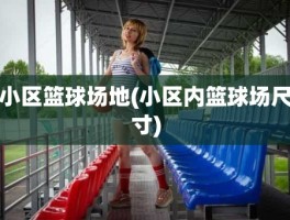 小区篮球场地(小区内篮球场尺寸)