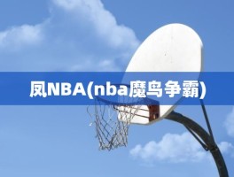 凤NBA(nba魔鸟争霸)