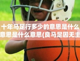 十年马足行多少的意思是什么意思是什么意思(良马足因无主踠的意思)
