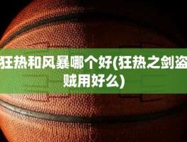 狂热和风暴哪个好(狂热之剑盗贼用好么)