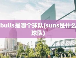 bulls是哪个球队(suns是什么球队)