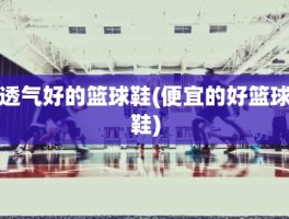 透气好的篮球鞋(便宜的好篮球鞋)