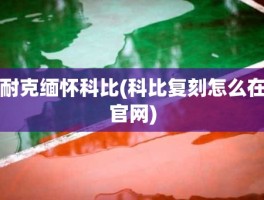 耐克缅怀科比(科比复刻怎么在官网)