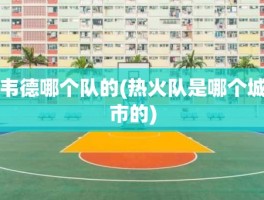 韦德哪个队的(热火队是哪个城市的)