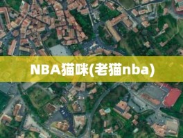 NBA猫咪(老猫nba)