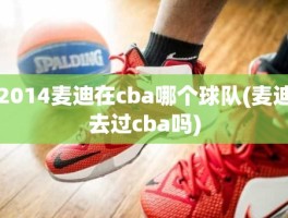2014麦迪在cba哪个球队(麦迪去过cba吗)