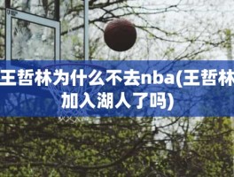 王哲林为什么不去nba(王哲林加入湖人了吗)