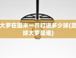 大罗在国米一共打进多少球(足球大罗是谁)