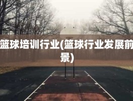 篮球培训行业(篮球行业发展前景)