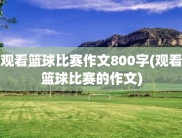 观看篮球比赛作文800字(观看篮球比赛的作文)