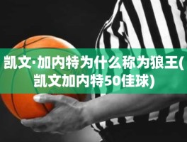凯文·加内特为什么称为狼王(凯文加内特50佳球)