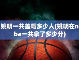 姚明一共盖帽多少人(姚明在nba一共拿了多少分)