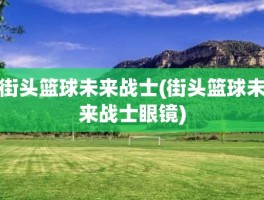 街头篮球未来战士(街头篮球未来战士眼镜)