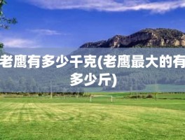 老鹰有多少千克(老鹰最大的有多少斤)