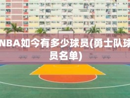 NBA如今有多少球员(勇士队球员名单)