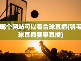 哪个网站可以看台球直播(羽毛球直播赛事直播)