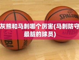 灰熊和马刺哪个厉害(马刺防守最脏的球员)