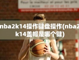 nba2k14操作键盘操作(nba2k14盖帽是哪个键)