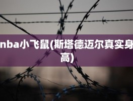 nba小飞鼠(斯塔德迈尔真实身高)