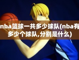 nba篮球一共多少球队(nba有多少个球队,分别是什么)