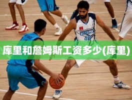 库里和詹姆斯工资多少(库里)