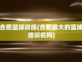 合肥篮球训练(合肥最大的篮球培训机构)