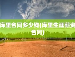 库里合同多少钱(库里生涯薪资合同)