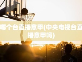 哪个台直播意甲(中央电视台直播意甲吗)