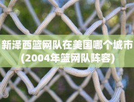 新泽西篮网队在美国哪个城市(2004年篮网队阵容)