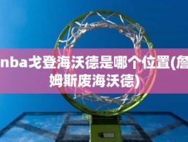 nba戈登海沃德是哪个位置(詹姆斯废海沃德)