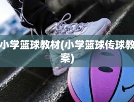 小学篮球教材(小学篮球传球教案)