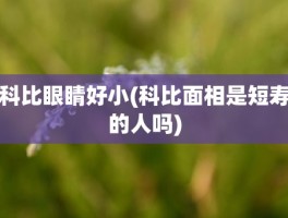 科比眼睛好小(科比面相是短寿的人吗)