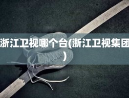 浙江卫视哪个台(浙江卫视集团)