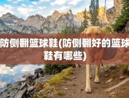 防侧翻篮球鞋(防侧翻好的篮球鞋有哪些)