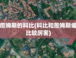 詹姆斯的科比(科比和詹姆斯谁比较厉害)