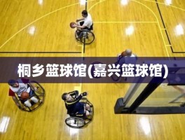 桐乡篮球馆(嘉兴篮球馆)