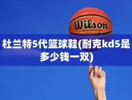 杜兰特5代篮球鞋(耐克kd5是多少钱一双)