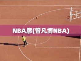 NBA廖(曾凡博NBA)
