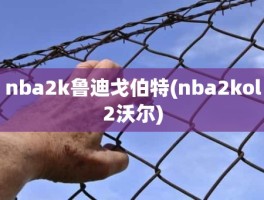 nba2k鲁迪戈伯特(nba2kol2沃尔)