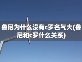 鲁尼为什么没有c罗名气大(鲁尼和c罗什么关系)