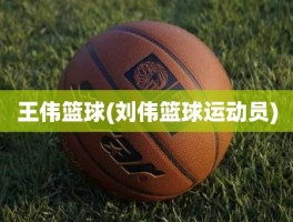 王伟篮球(刘伟篮球运动员)