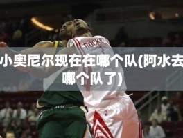 小奥尼尔现在在哪个队(阿水去哪个队了)