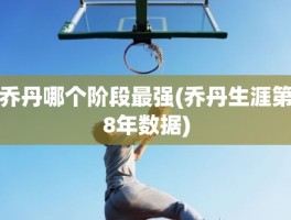 乔丹哪个阶段最强(乔丹生涯第8年数据)