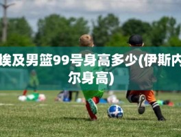 埃及男篮99号身高多少(伊斯内尔身高)