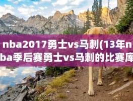 nba2017勇士vs马刺(13年nba季后赛勇士vs马刺的比赛库里单打44分是哪一场)