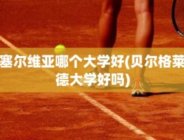 塞尔维亚哪个大学好(贝尔格莱德大学好吗)